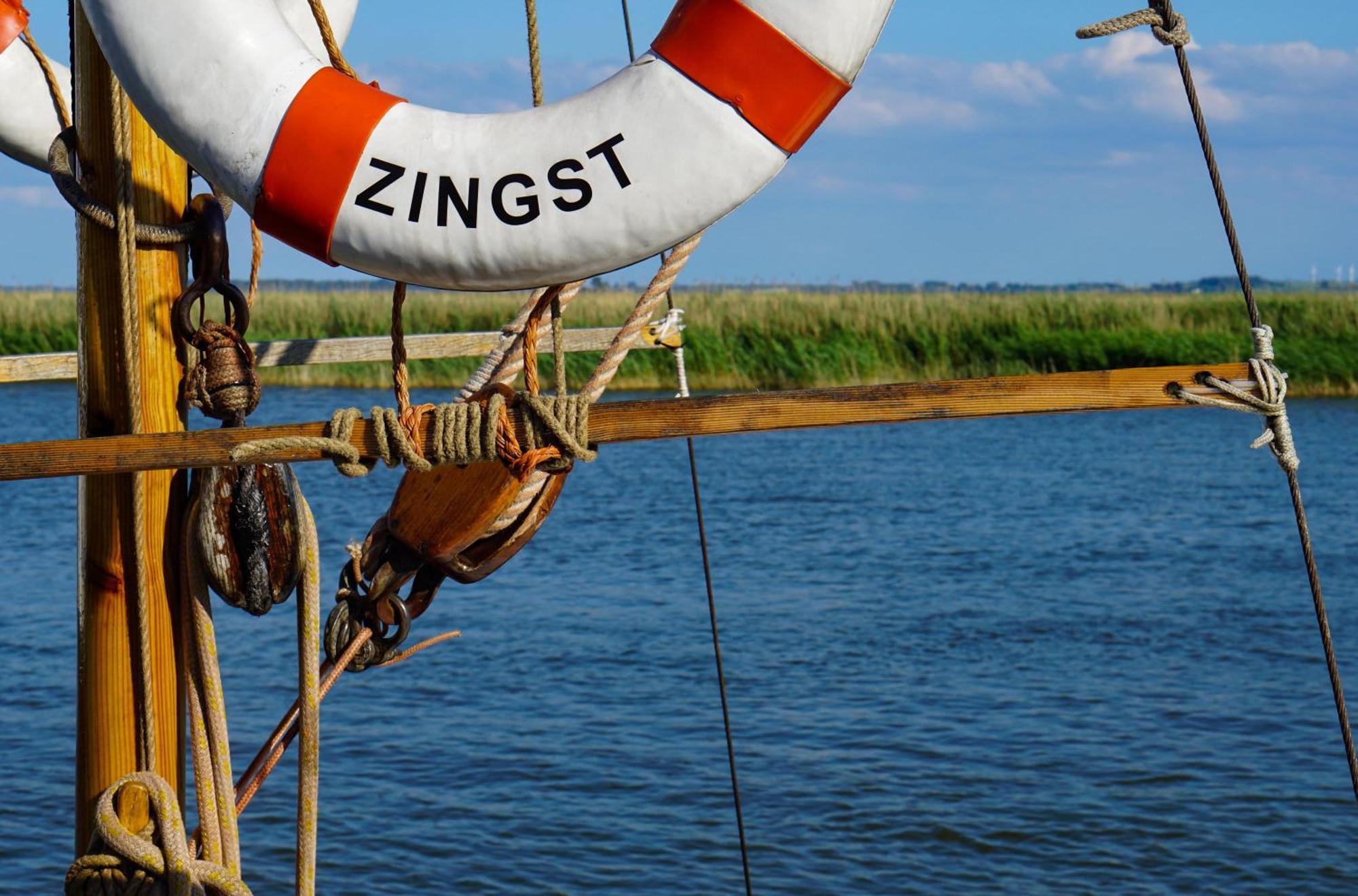 Seehund An Der Seebruecke Zingst Ngoại thất bức ảnh
